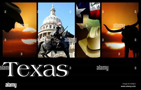 Signs Symbols of the State of Texas Texans State Capitol Austin ...