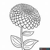 Zinnia Coloring Page  Easy Drawing Guides In 2024 pages sketch template
