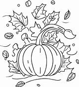 Fall Harvest Coloring Pages Sketch Page sketch template