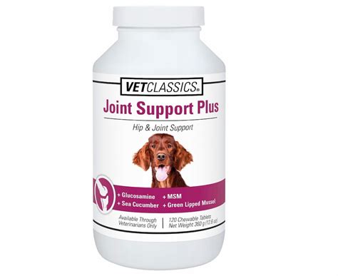 12 Best Joint Supplements For Dogs - Vetstreet | Vetstreet