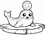 Galapagos Fur Seal Coloring Page  Free Printable Pages For Kids sketch template