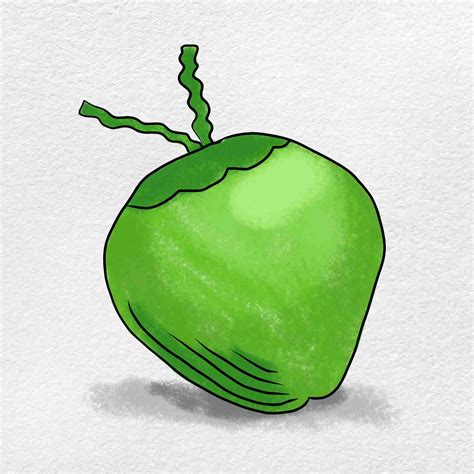 Green Coconut Drawing - HelloArtsy