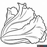 Lettuce Coloring Page sketch template