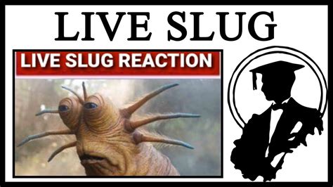 Live Slug Reaction Template