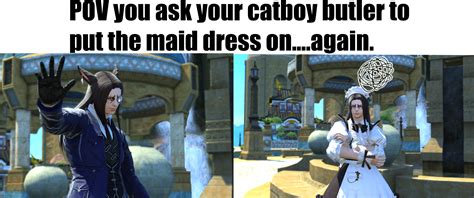 A low effort catboy meme involving a maid dress. : r/ffxiv