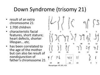 PPT - Trisomy 21: Down Syndrome PowerPoint Presentation - ID:2171104