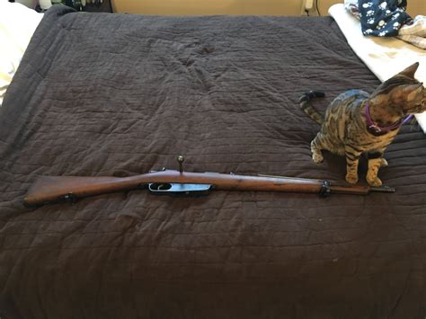 6.5 Carcano in Need of Restoration : milsurp