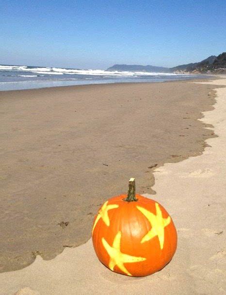 The Ultimate Pumpkins for a Beach Inspired Fall Season - Beach Bliss Living