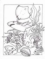 Water Animal Coloring Pages At Webkamilablog Blog sketch template