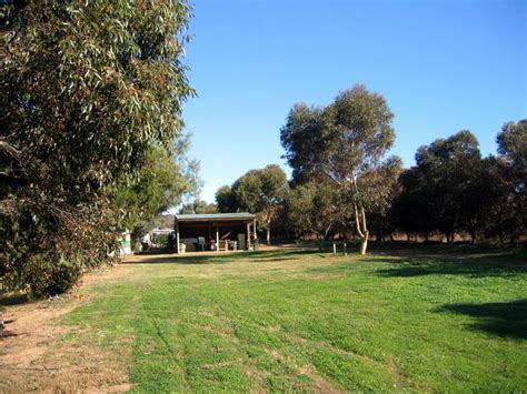 Princes Highway Caravan Park - Murray Bridge Area for tents and camping