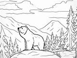 Wilderness Coloring Page For Adults  Free Printable Educacion sketch template