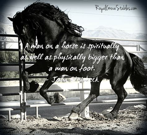 Quotes By Famous Horse Riders. QuotesGram