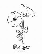 Poppy Coloring Page  Little Bee Family sketch template