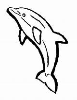Dolphin Coloring Pages sketch template