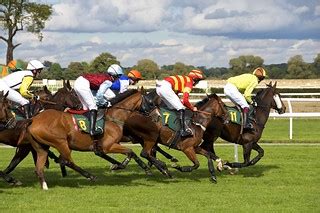 HDR Style Horse Racing Photo | Copyright free horse racing p… | Flickr
