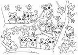 Cute Hamster Coloring Pages  Home sketch template