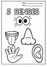 Coloring Fun For Kids 5 Senses Printable Worksheets Five  sketch template