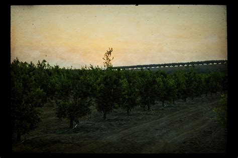 STRAIGHT LINE | Rural Tulare County I just liked the scene f… | Flickr