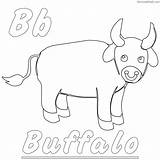 Free Buffalo Coloring Pages PDF To Print  Coloringfoldercom sketch template
