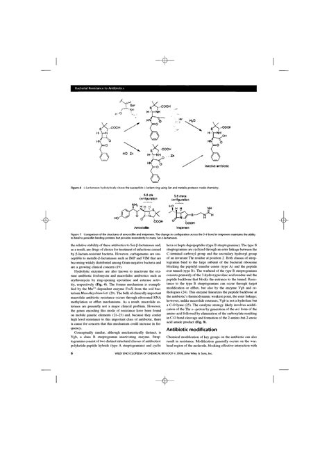 Imipenem structure - Big Chemical Encyclopedia