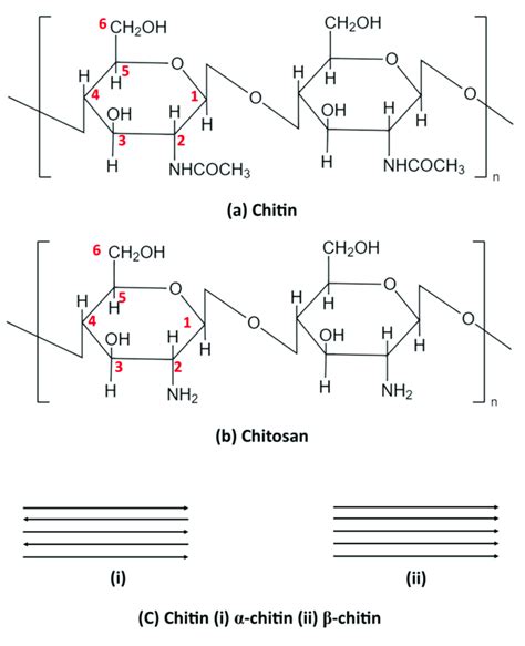 Chemical structure of (a) chitin and (b) CS (c) α-and β-chitin. | Download Scientific Diagram