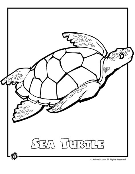 Sea Turtle Endangered Animal Coloring Page | Woo! Jr. Kids Activities ...