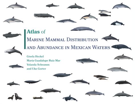 (PDF) Atlas of Marine Mammal Distribution and Abundance in Mexican Waters