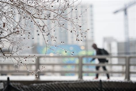 North Carolina Snowfall Totals: National Weather Service Totals From ...