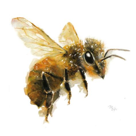 Honey Bee Painting Art Print. Nature Illustration. Honey - Etsy