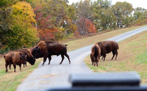 Photo Essay: A Tour in Photos of Branson, Missouri and the Ozarks ...