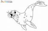 Foca Colorir Desenhos Colorironline Sketch Coloring Page sketch template