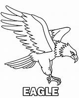 Eagle coloring page To Print sketch template