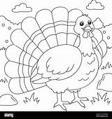 Turkey Images Coloring Pages sketch template