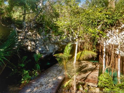 Visit Gran Cenote, Tulum - A Complete Guide [2024]