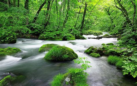 Water Stream Wallpaper