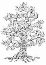 Premium Vector  Beautiful tree drawing coloring Page sketch template