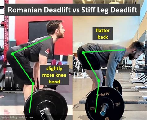 Romanian Deadlift vs Stiff Leg Deadlift: Differences & Muscles Worked | Nutritioneering