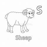 Sheep Alphabet ABC Coloring Page S Stock Vector  Illustration Of sketch template