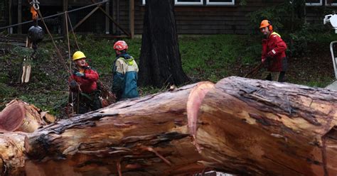 Nine Intense Photos From Tuesday's Bay Area Storm Deluge