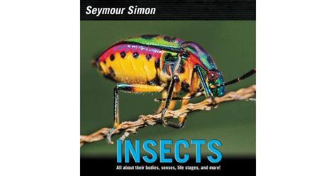 Insects by Seymour Simon