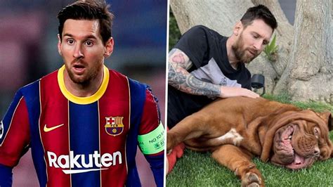 Lionel Messi's dog: What breed it is, name and pictures | Goal.com