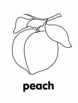 Peach Fruit Coloring Page Pages sketch template
