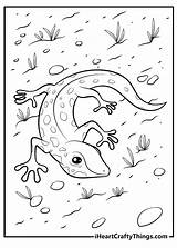 Lizard Coloring Page sketch template