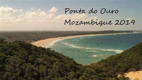 Ponta do Ouro, Mozambique 2019 (4K) | Diving - YouTube