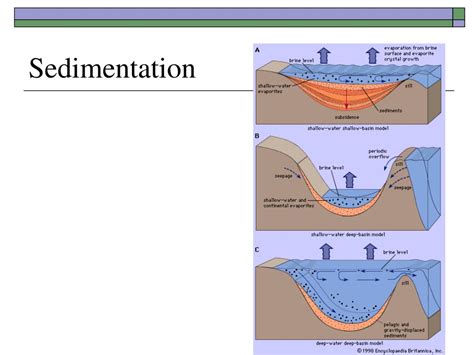 PPT - Environmental Geology PowerPoint Presentation, free download - ID ...