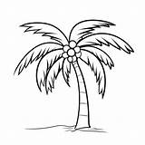 🖍️ Simple Palm Tree  Printable Coloring Page For Free Puplacom sketch template