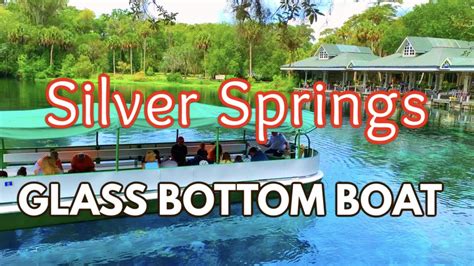 We Road The Glass Bottom Boat Tour in Silver Springs FLORIDA STATE PARK ...