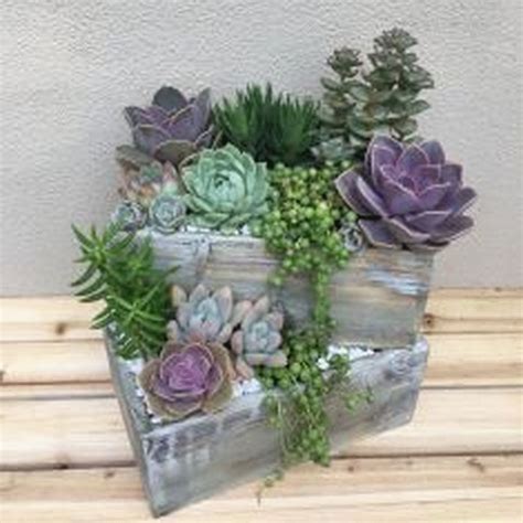 Formas Naturales Plants Succulents - vrogue.co