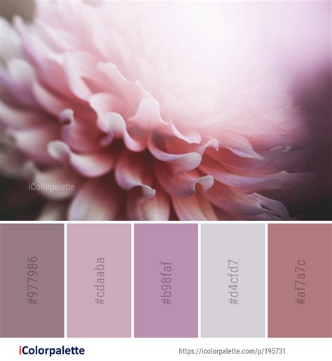 Color Palette ideas from 8839 Flower Images | iColorpalette Color Schemes Design, Bedroom Color ...