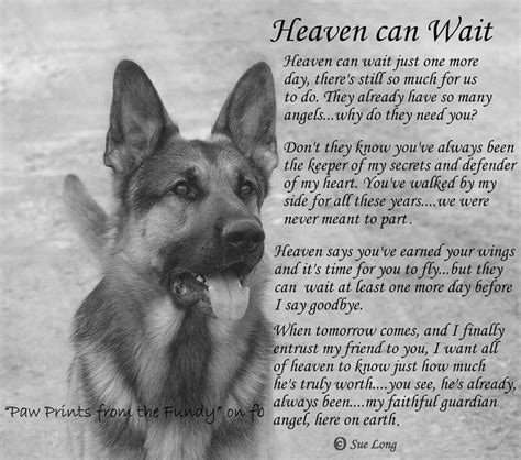 Dogs and Angels in Heaven - Bing Images | Dog poems, Dog quotes, Pet ...